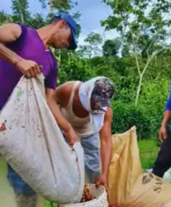 LOS_POCITOS_2.png Nicaragua Los Pocitos 454 g