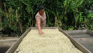 Three Beans That Support the Women of Coffee