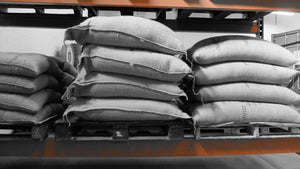 Image of 69 kg burlap coffee bags filled with green coffee on an industrial rack