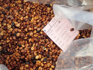 Costa Rica Finca Lum Pacamara Red Honey 454 g