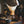Chemex 10 Cup Classic Woodneck Brewer for Manual Brew
