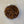 India Monsoon Malabar 454 g